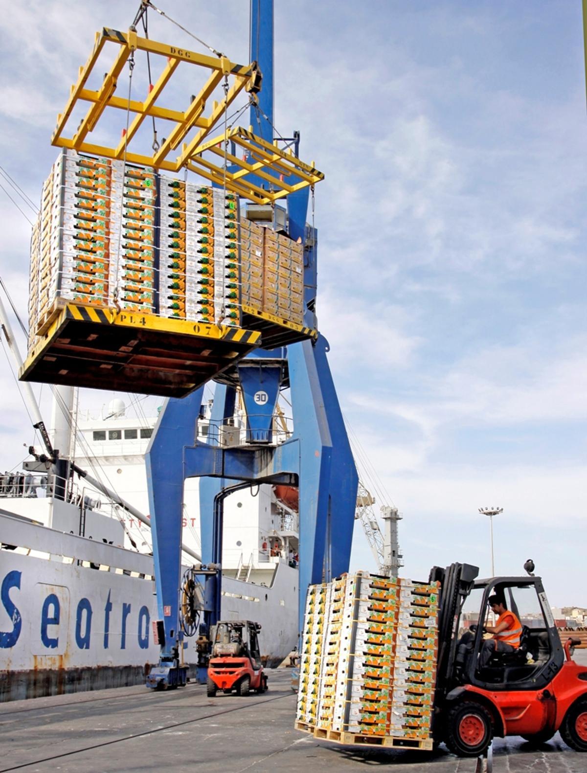 La Terminal Hortofrutícola cuenta con un muelle de 405 metros de longitud.