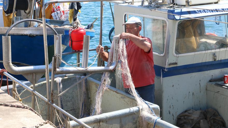 La flota d&#039;encerclament de la Costa Brava torna a pescar després de la veda biològica de dos mesos