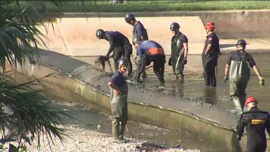 Se reanuda la búsqueda del bebé arrojado al río Besós por su padre