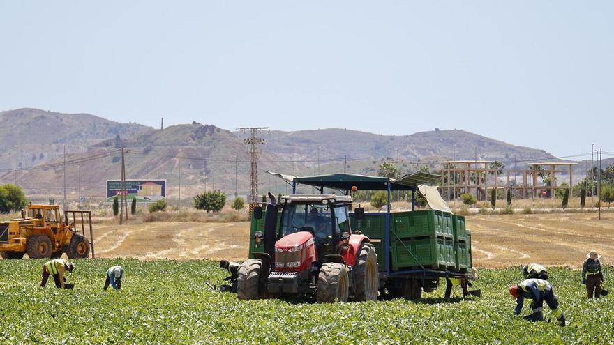 Marruecos, Colombia y Senegal son las tres nacionalidades que más permisos obtienen para trabajar en la Región de Murcia