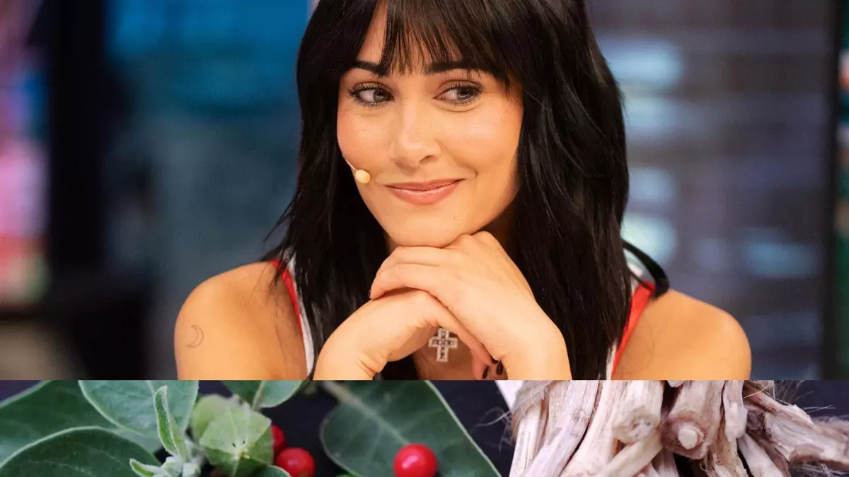 Por qué Aitana (y medio internet) toma ashwagandha: "Ayuda al organismo a adaptarse mejor al estrés físico y emocional" asegura una farmacéutica nutricionista