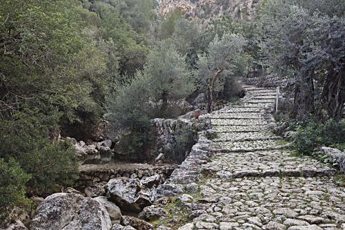 Versteckte Baracken, fast vergessene Geschichten und ganz viel Plackerei: Der Barranc de Biniaraix bei Sóller ist viel mehr als idyllische Wander-Kulisse