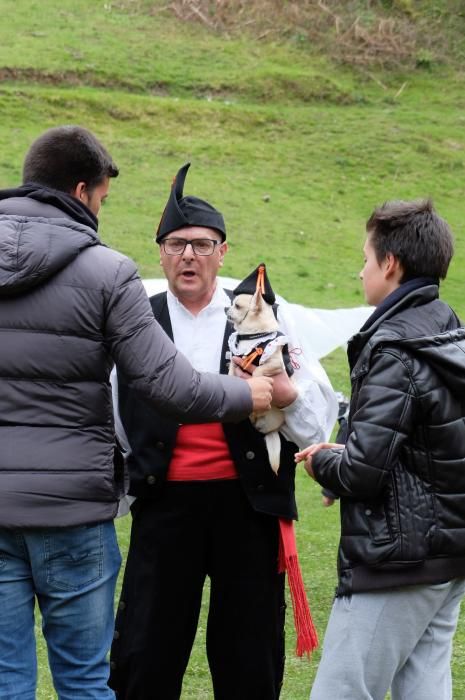 Romería en Piedracea, fiestas de la Flor de Lena