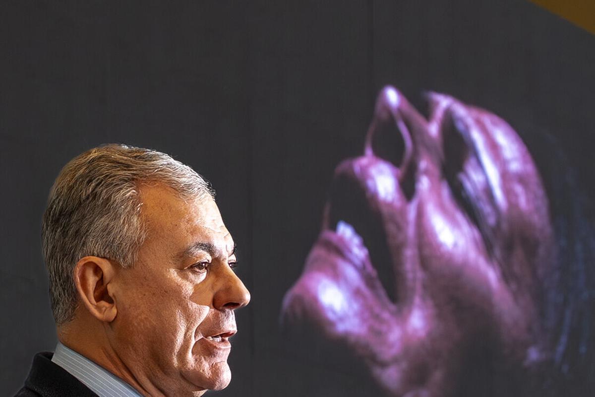 Fotogalería | José Mercé y Sara Baras vuelven a la Bienal de Flamenco de Sevilla en una edición que recupera el Lope como sede