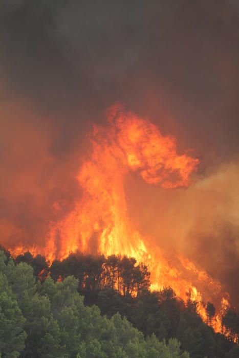 Así fue el incendio de Torremanzanas (agosto,2012)