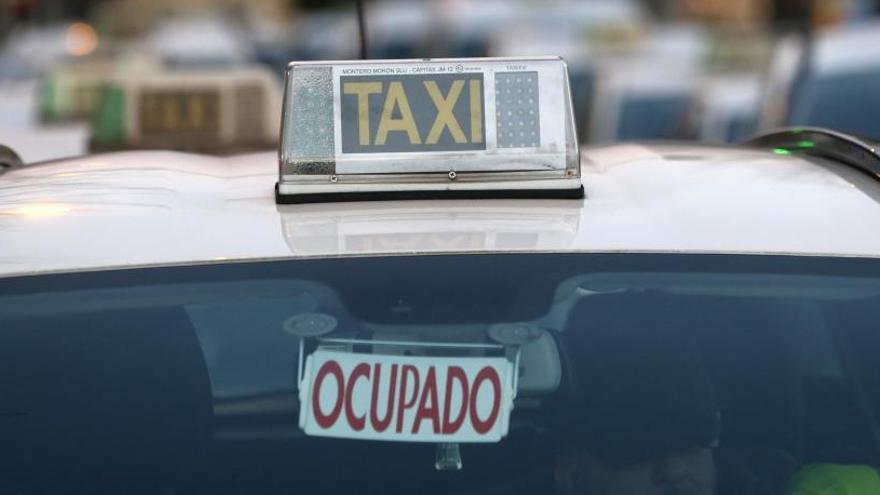 Alicante insta al Consell a que liberalice el servicio de taxis las madrugadas de los fines de semana
