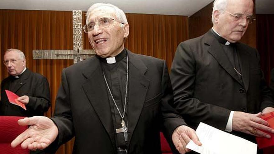 El presidente de la Conferencia Episcopal Española y arzobispo de Madrid, el cardenal Antonio María Rouco Varela, junto al cardenal arzobispo de Sevilla, Carlos Amigo