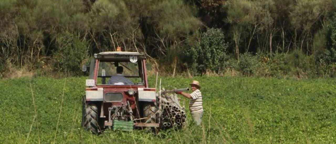 Un productor recoge las tuberías del riego en A Limia. // Jesús Regal