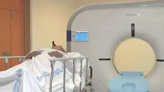 Descrito en Zamora un nuevo foco de la Enfermedad de Andrade