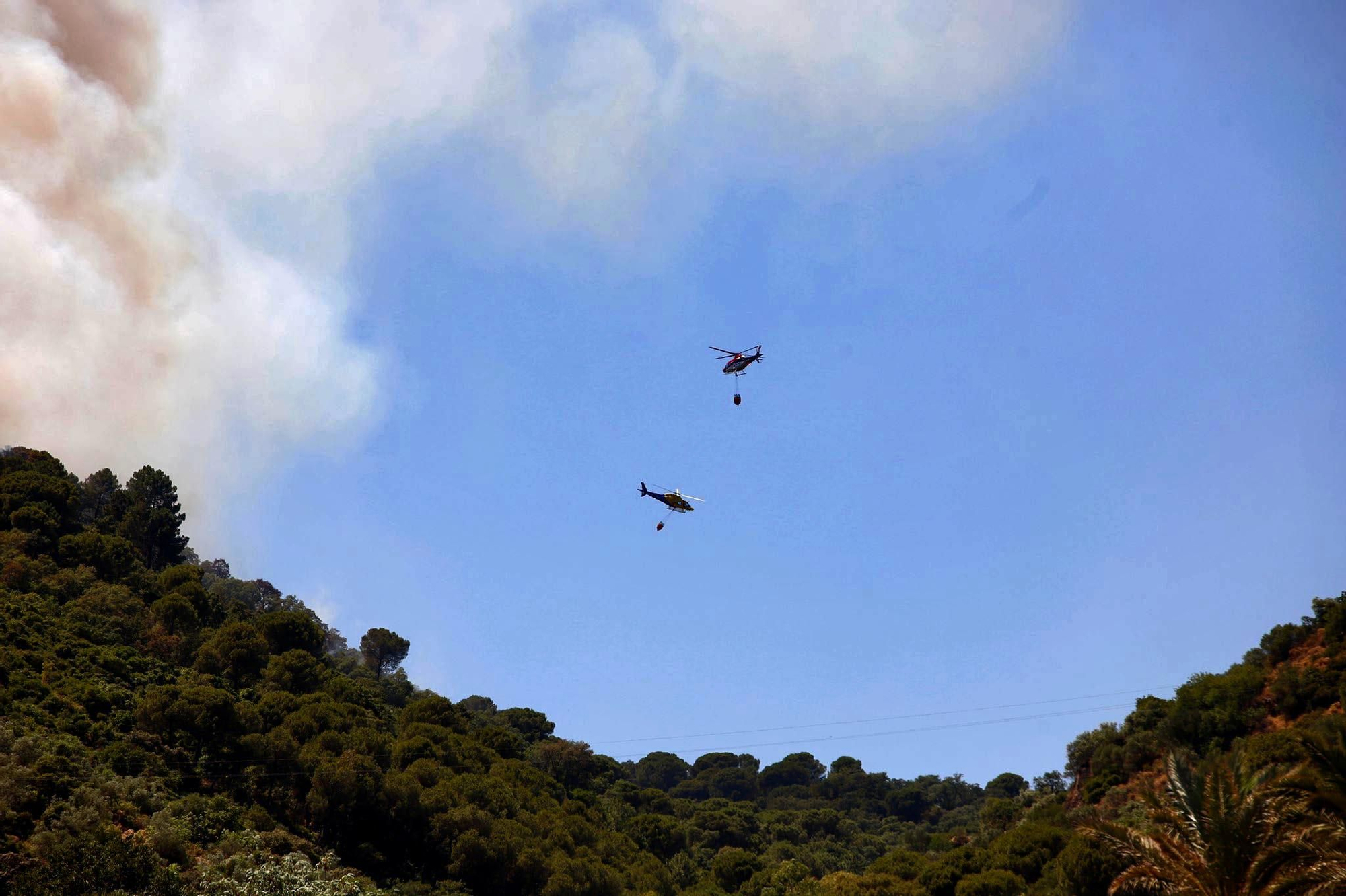 Incendio forestal en la sierra de Córdoba