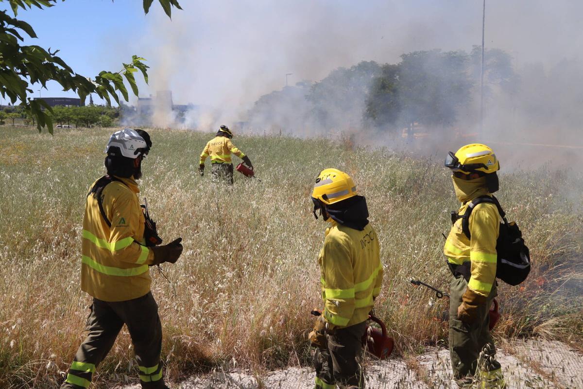 Fuego controlado en Las Quemadas y Rabanales