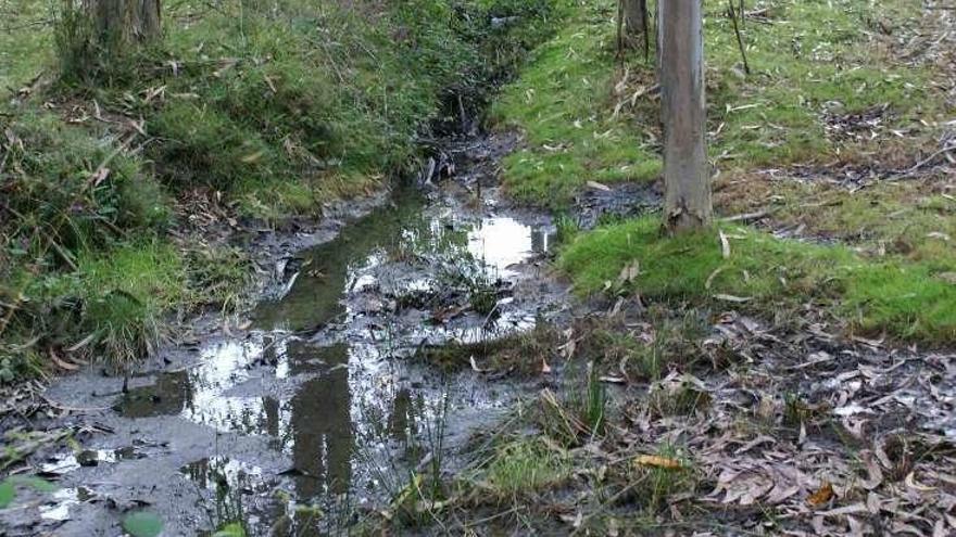 Vertido de purines procedente de una explotación en Coirós. // L.O