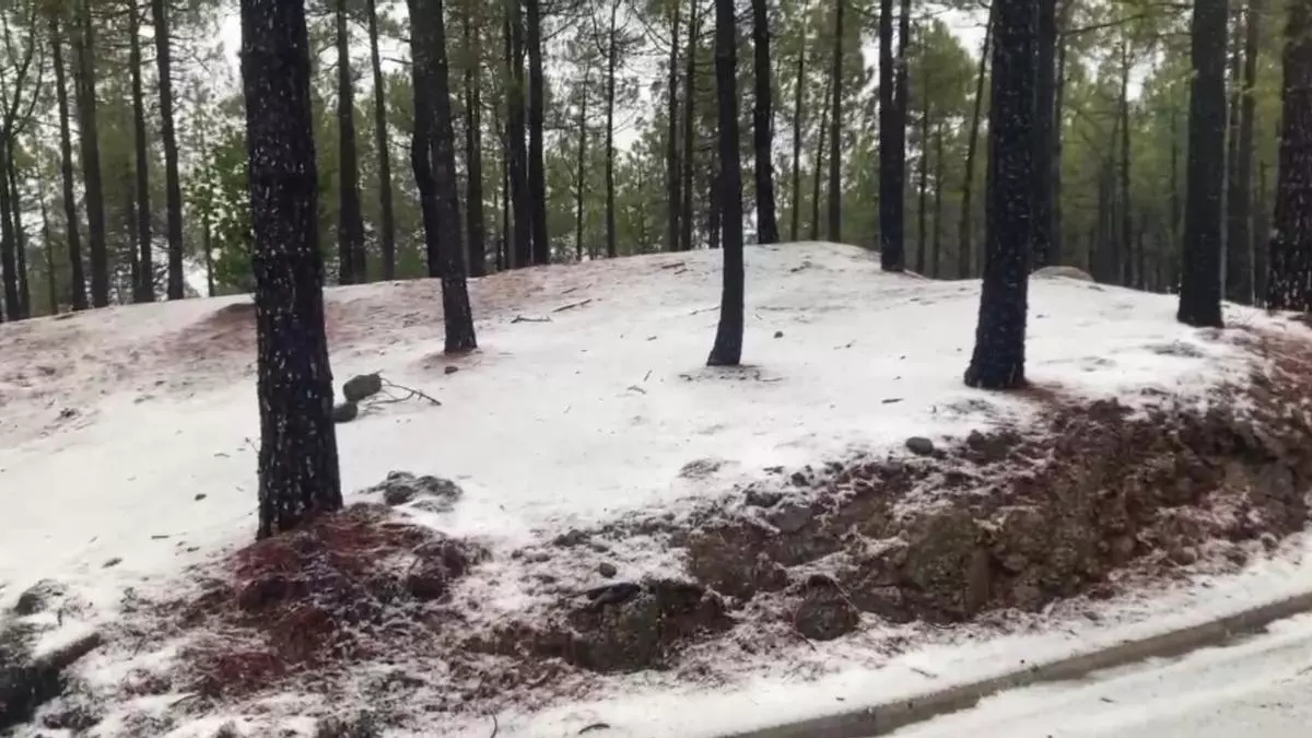 Nieve en la cumbre de Gran Canaria por la borrasca Emilia