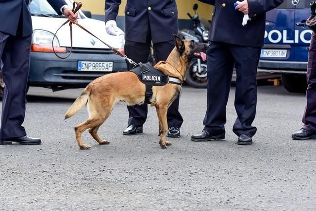 Dia de la Policia