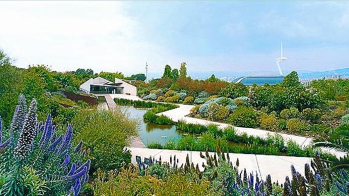 El estanque del Jardí Botànic, en la montaña de Montjuïc.