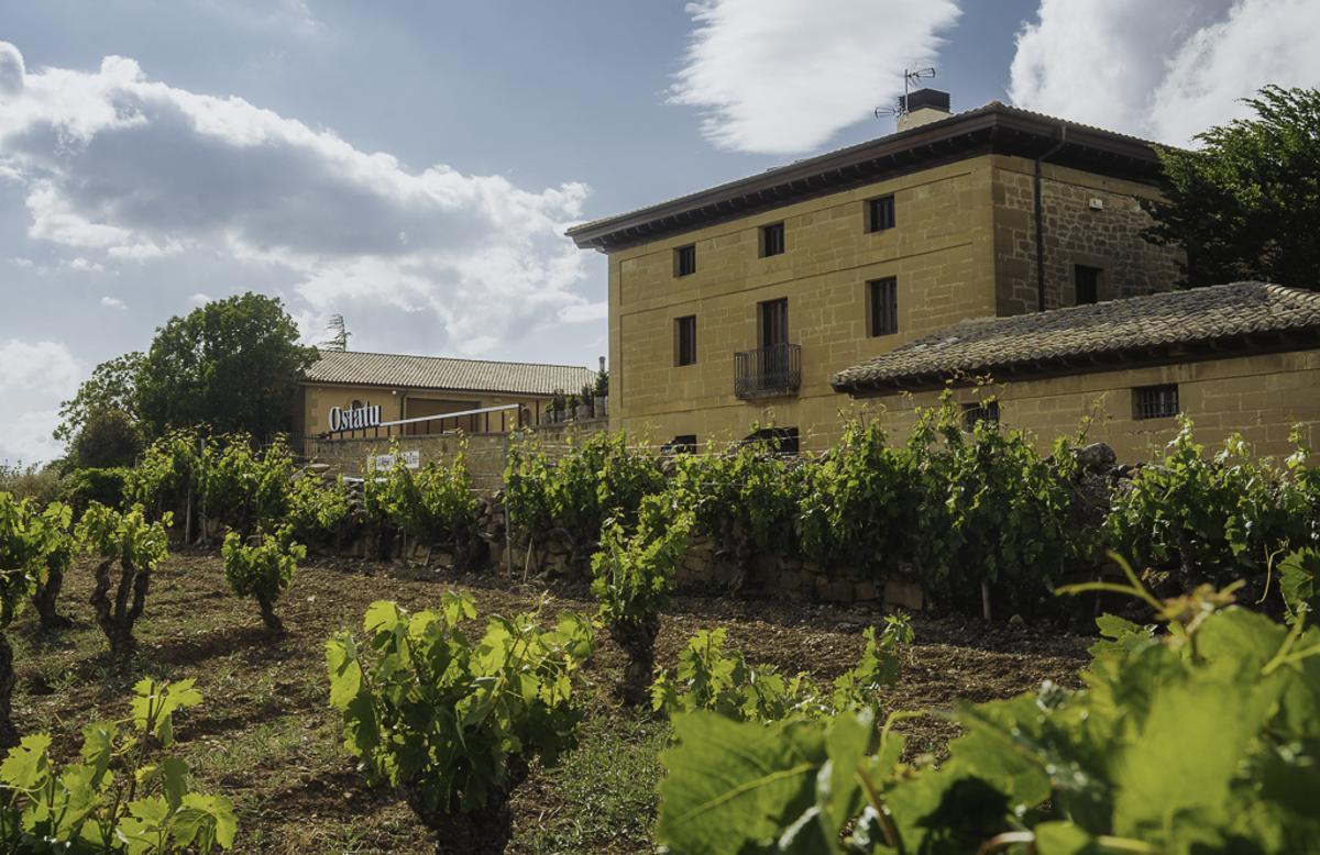 Bodega Ostatu