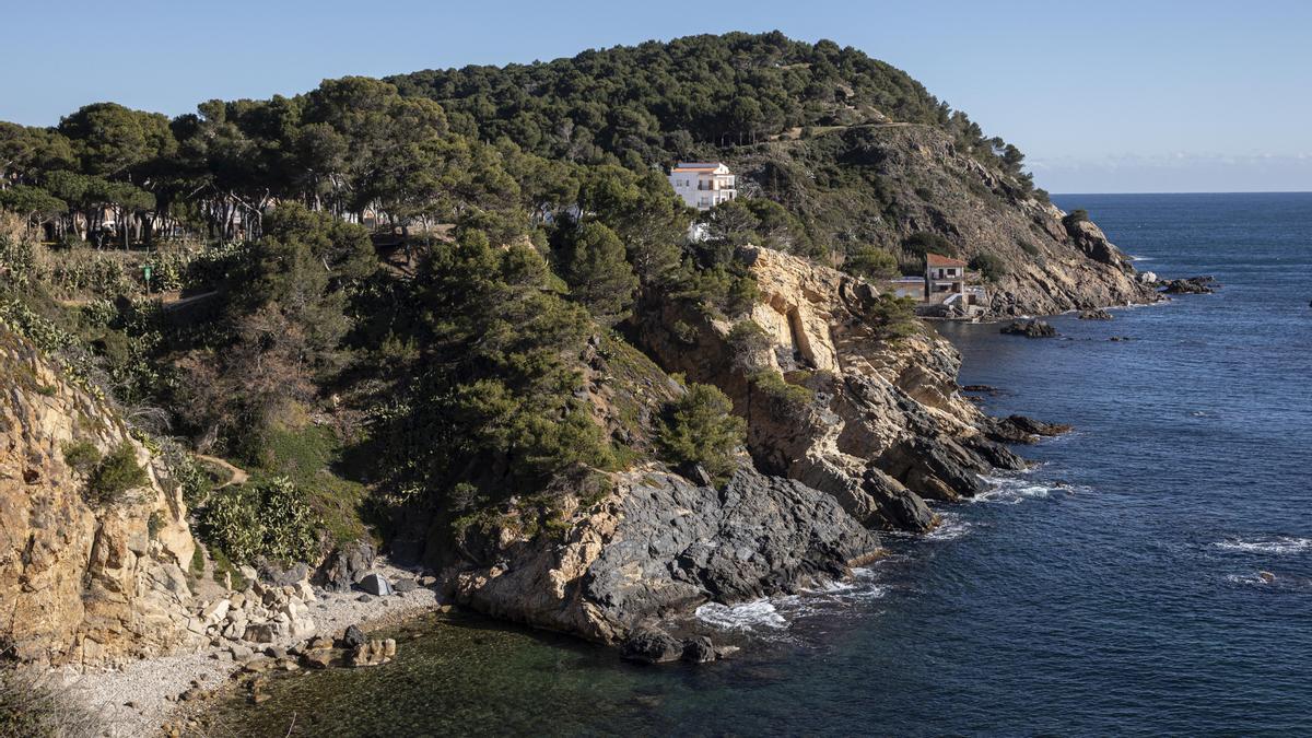 Pineda del Càmping La Fosca en Palamós, afectada por 2 bloques de 43 apartamentos y 12 nuevos chalets.