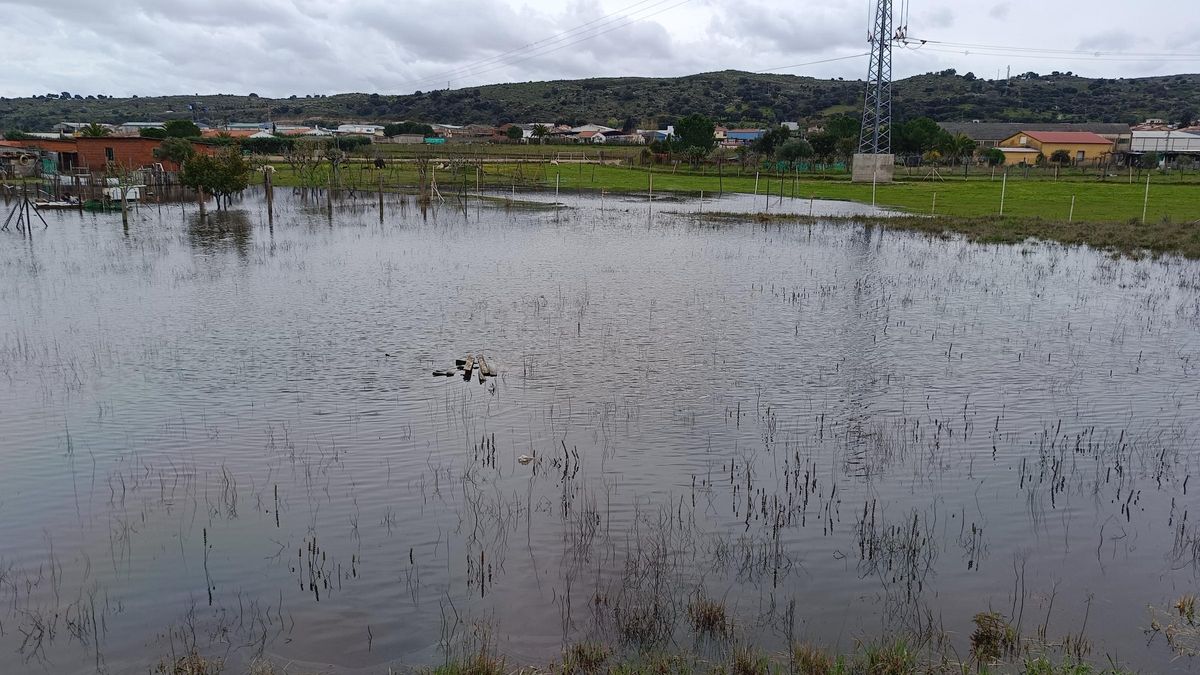 Terrenos inundados por las aguas como consecuencia del taponamiento de las arquetas.