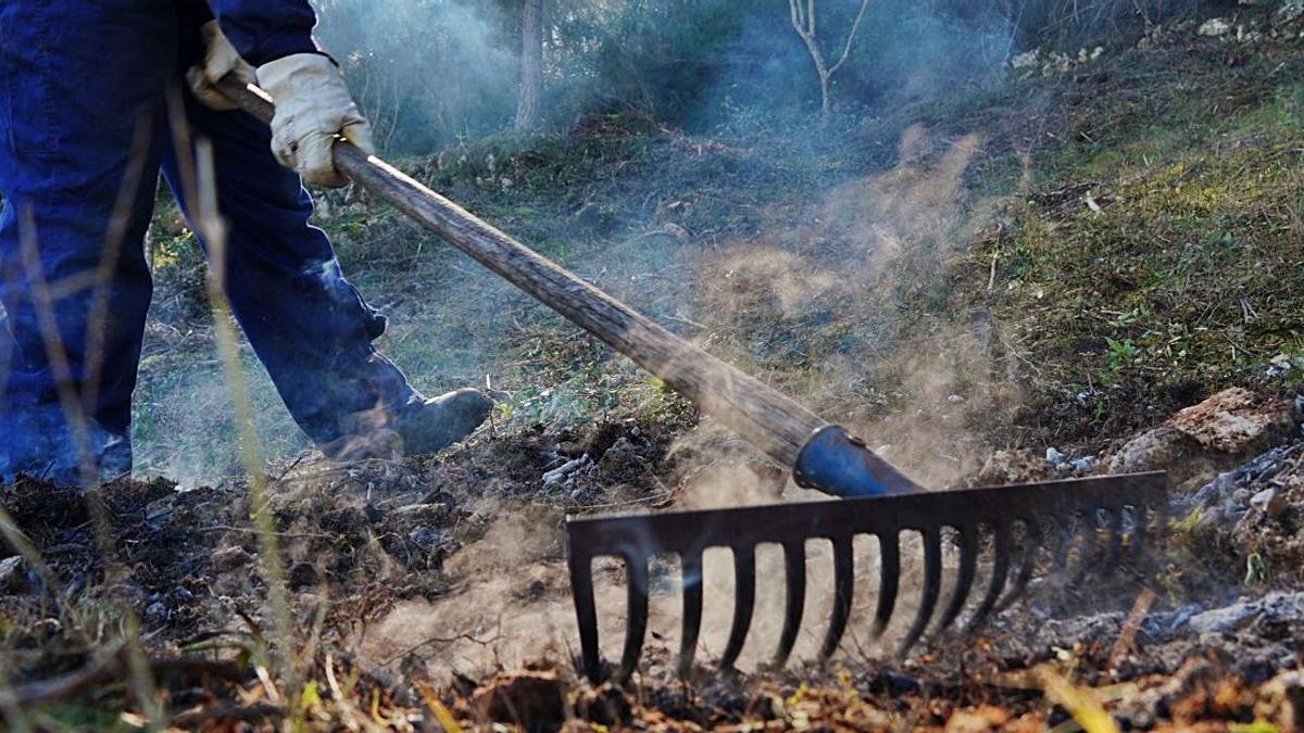 Seit Mitte Oktober ist Feuermachen auf Mallorca in der Regel wieder erlaubt. Das Feuer sollte aber stets überwacht werden.