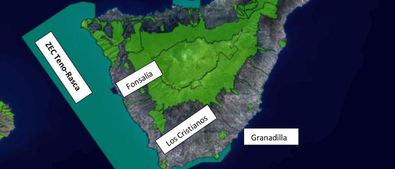 Zona de Especial Conservación (ZEC) Teno-Rasca y la ubicación de los puertos de Fonsalía, Los Cristianos y Granadilla.