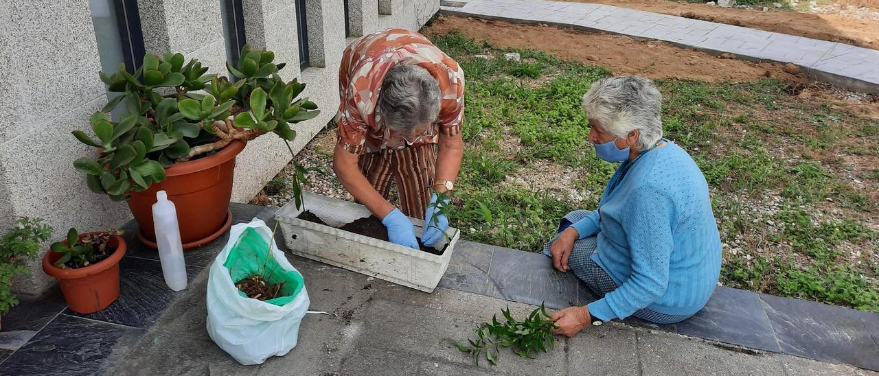 Dos usuarias realizan una actividad de jardinería en la Casa do Maior de Vide, en Castrelo de Miño.