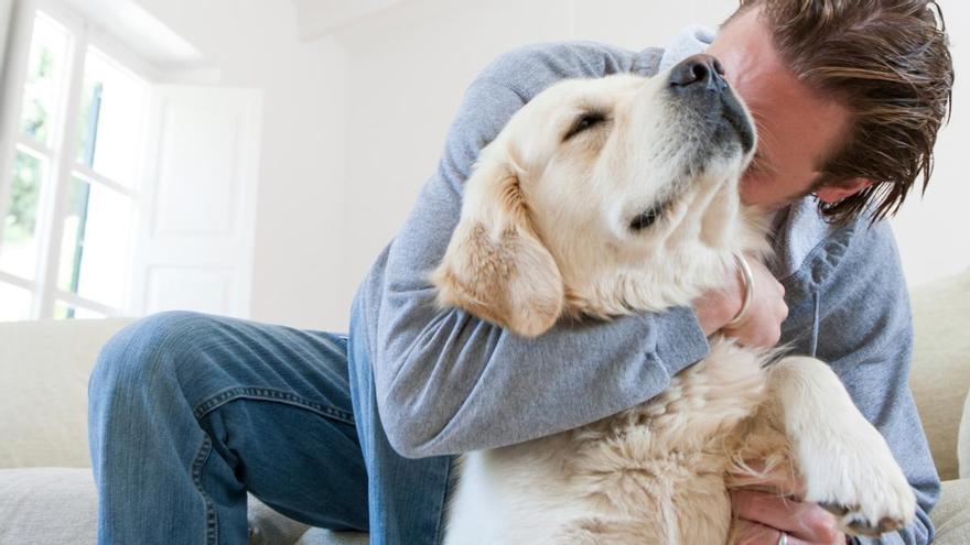 La ciencia lo confirma: las personas con perro tienen mejor 
