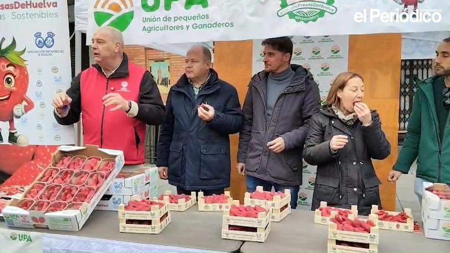 Vídeos | Reparto de fresas en la Plaza de España de Mérida, un acto de UPA-UCE