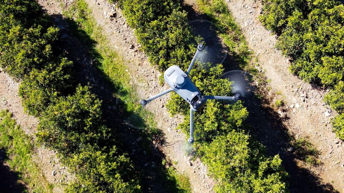 Un dron sobre una finca agrícola.