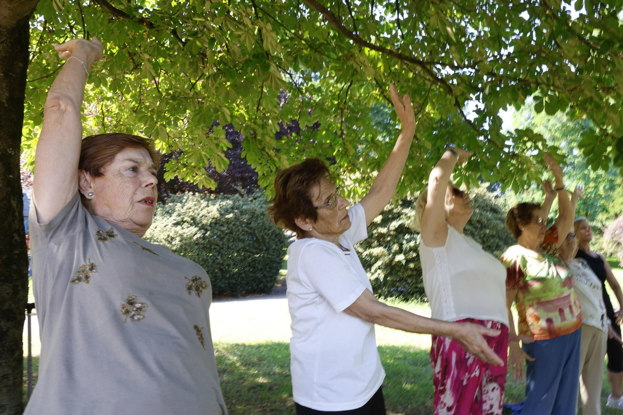 EN IMÁGENES: Cursos de taichi al aire libre en Avilés