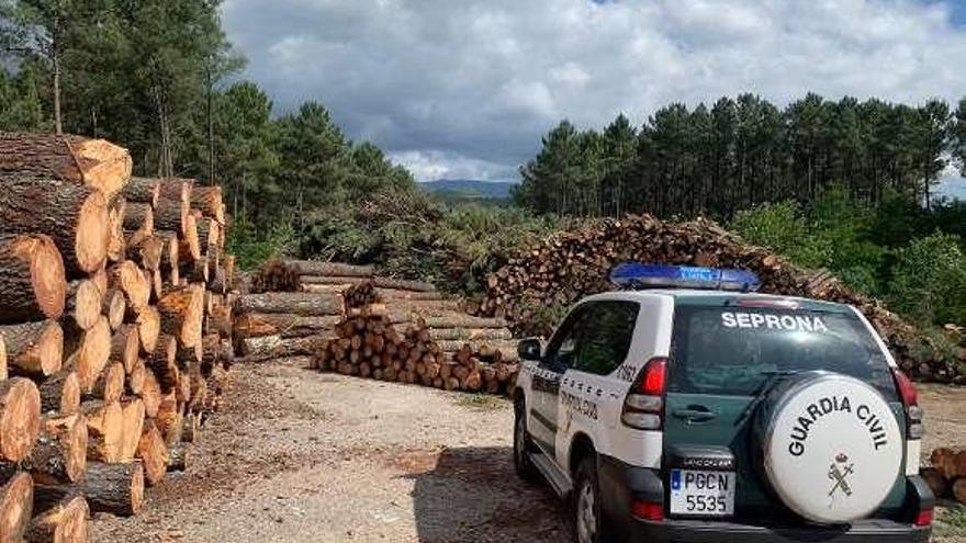 La Guardia Civil llamó a la investigación operación &quot;Bursátil&quot;. // G.C.