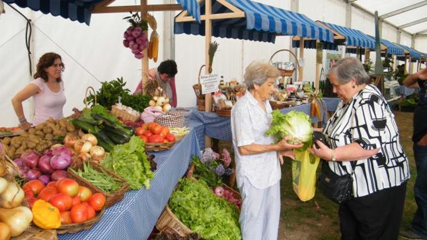 Longina García atendiendo el puesto de hortalizas ecológicas en la feria que se celebra este fin de semana en Ables.