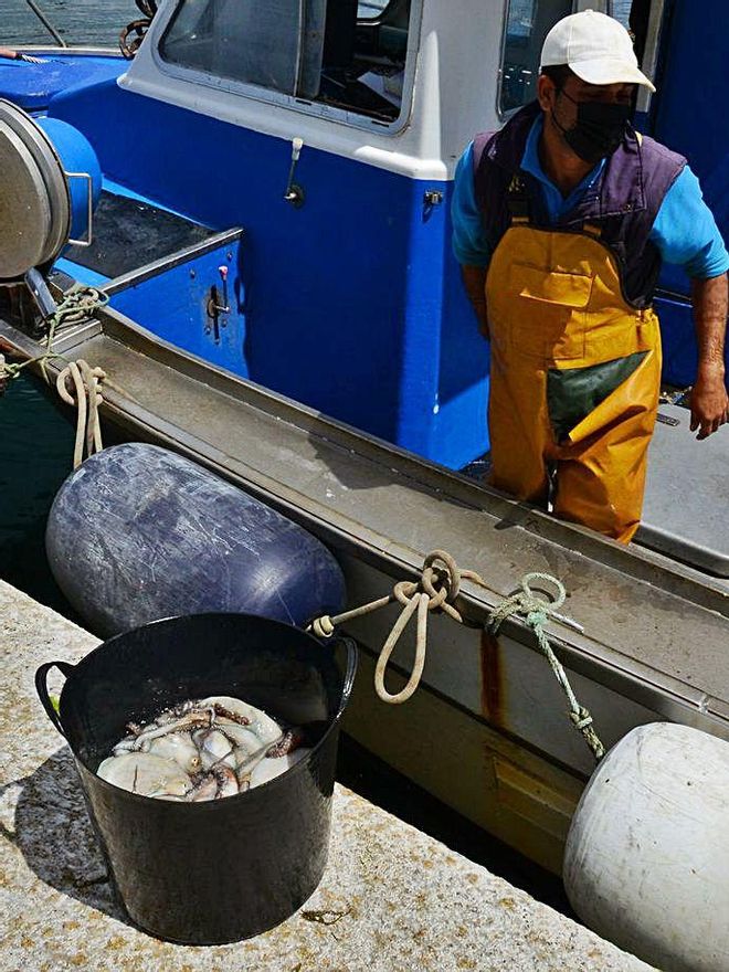 Un tripulante descarga ayer las capturas de pulpo en Bueu. |   // GONZALO NÚÑEZ