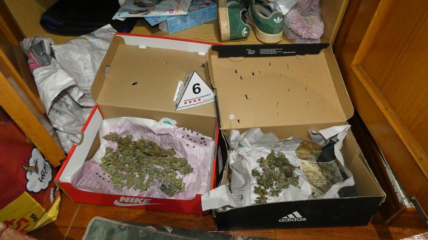 La marihuana requisada pels Mossos a la Bisbal