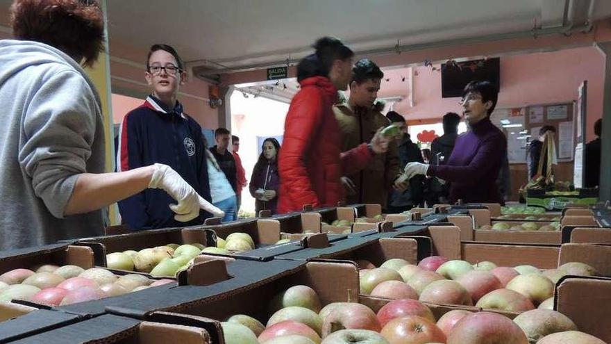 Cajas de manzanas en el instituto de Camarzana de Tera.