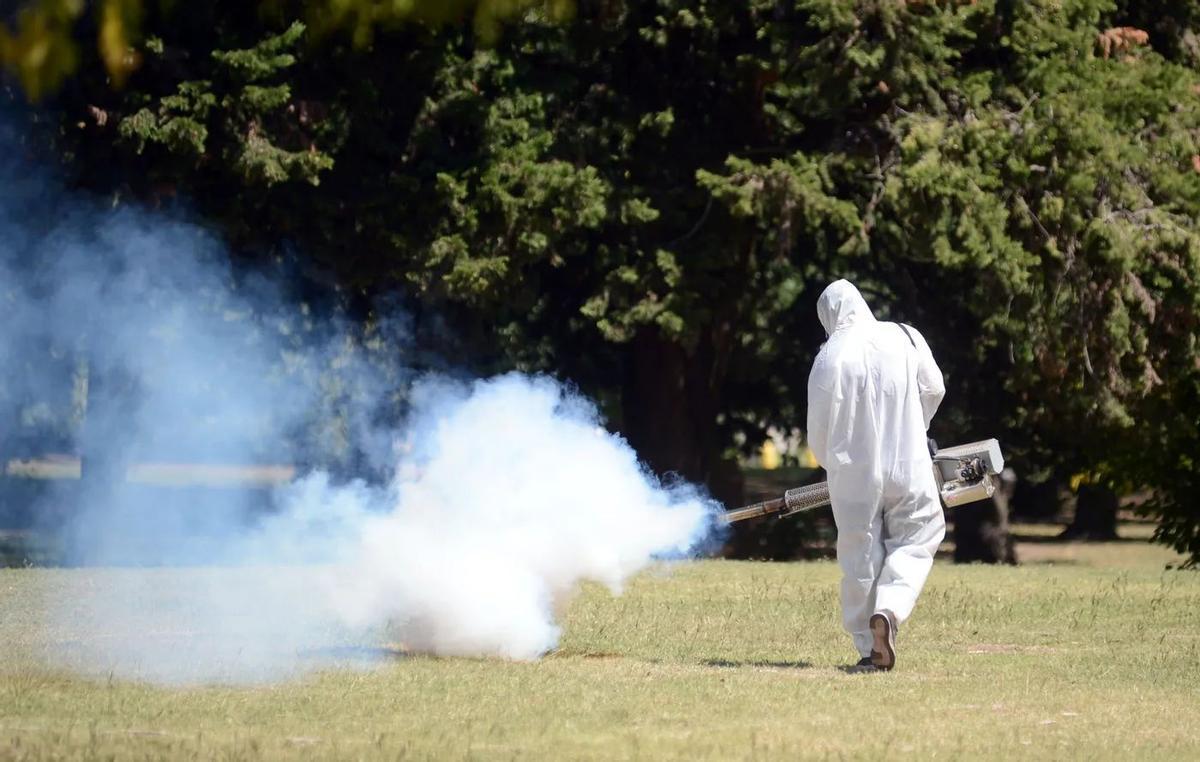 Falta coordinación entre países para combatir la expansión de los mosquitos