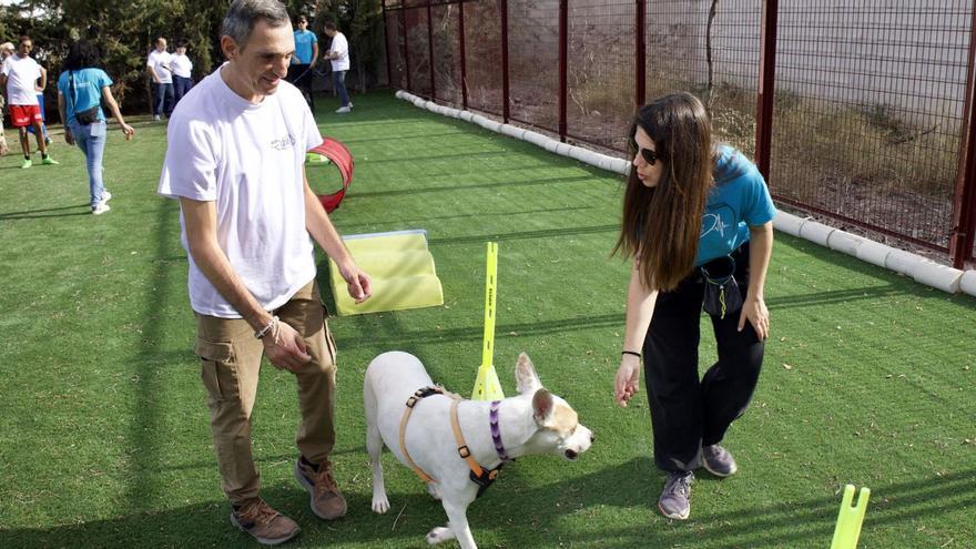 Uno de los usuarios interactúa con un perro acompañado por su terapeuta.