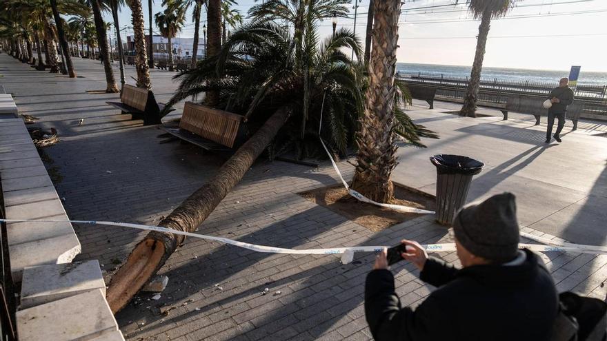 Declaraciones a los medios del subdirector de Programas de Protección Civil, Sergio Delgado, donde habla del temporal del próximo fin de semana.