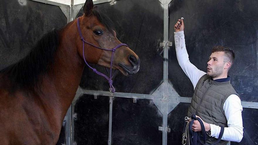 Uno de los caballos que participaron en el concurso. // Bernabé/J. Carlos Asorey