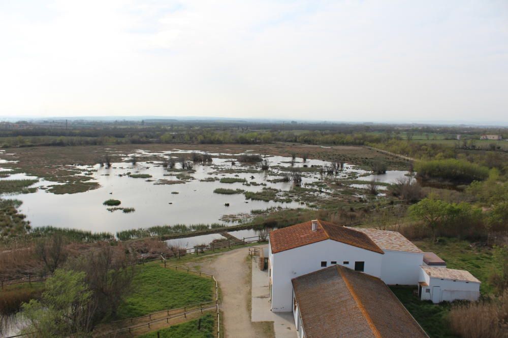 Recorregut visual pel Parc dels Aiguamolls