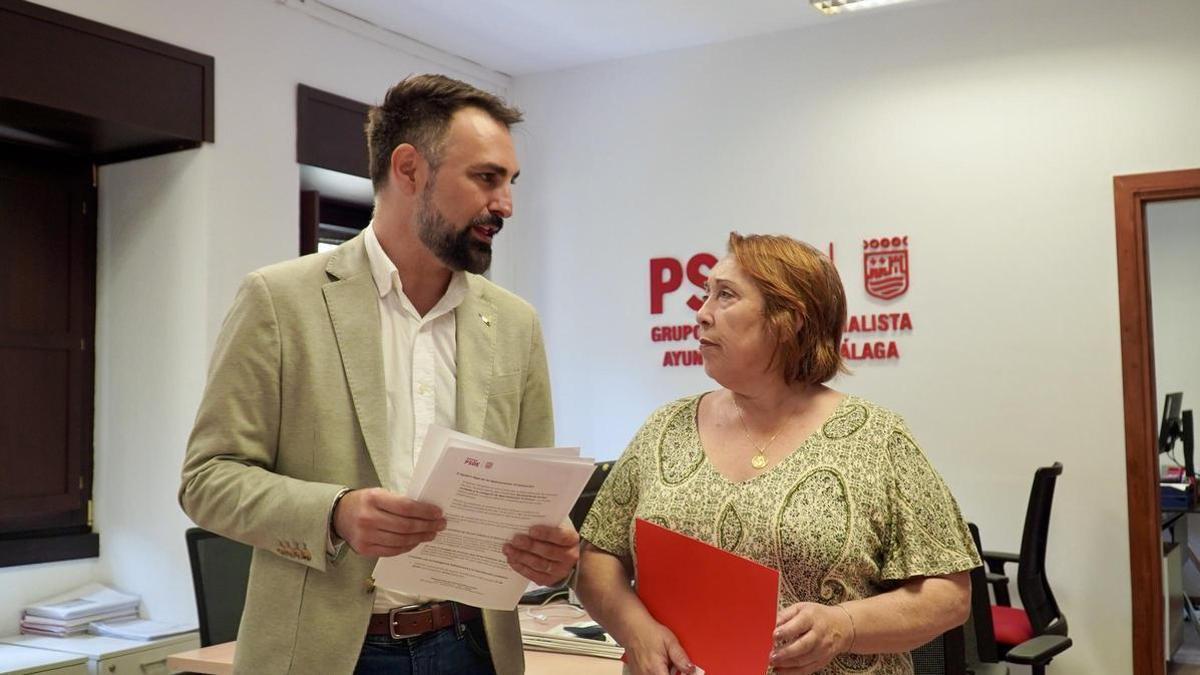 Ruiz Araujo acusa a De la Torre PP de usar Málaga como un "tablero de Monopoly" y exige paralizar las licencias turísticas tras “el escándalo del alcalde de Estepona”