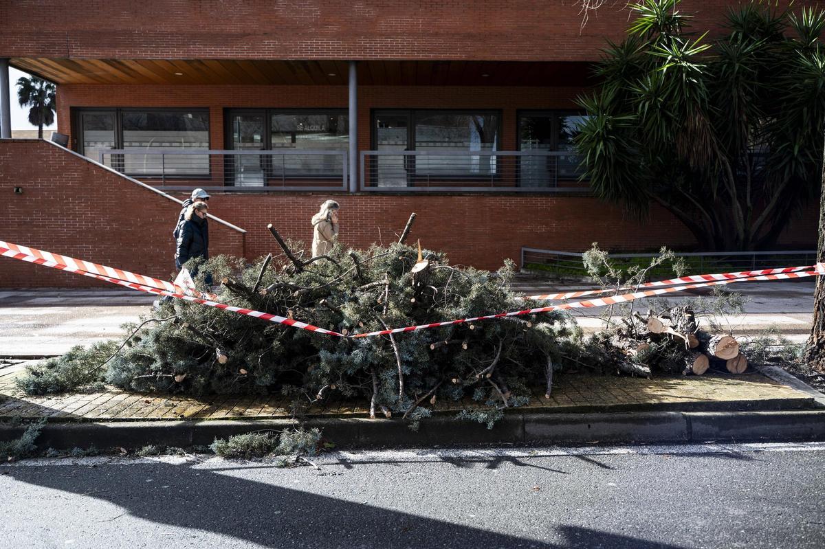 Fotogalería | El temporal en imágenes en Cáceres