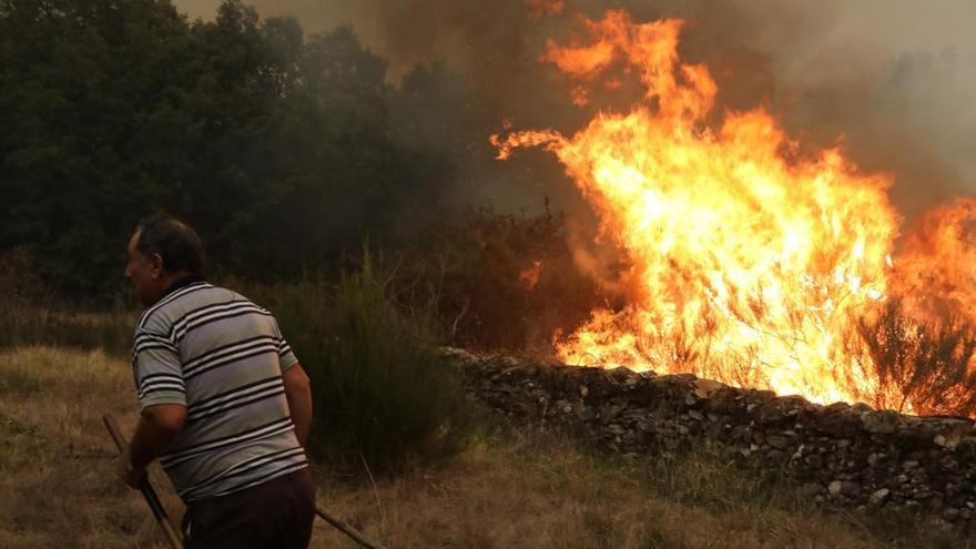 Un incendio forestal en Galicia. // FdV