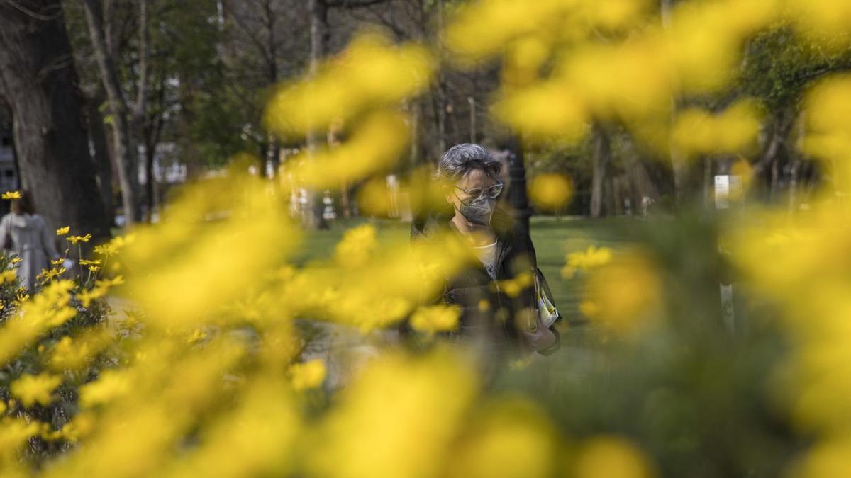 Una mujer, paseando con mascarilla por el Campo San Francisco de Oviedo.