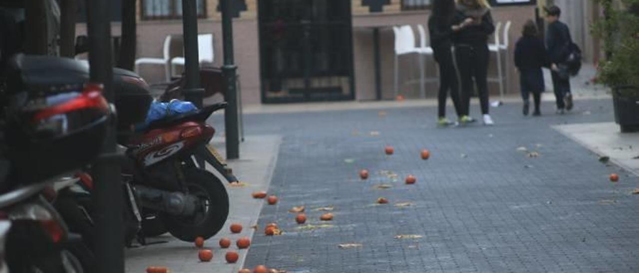 Varias imágenes de la intervención de la Policía Local y los bomberos de Gandia en el Passeig de les Germanies, y naranjas derribadas por el viento en la Carrer del Forn.