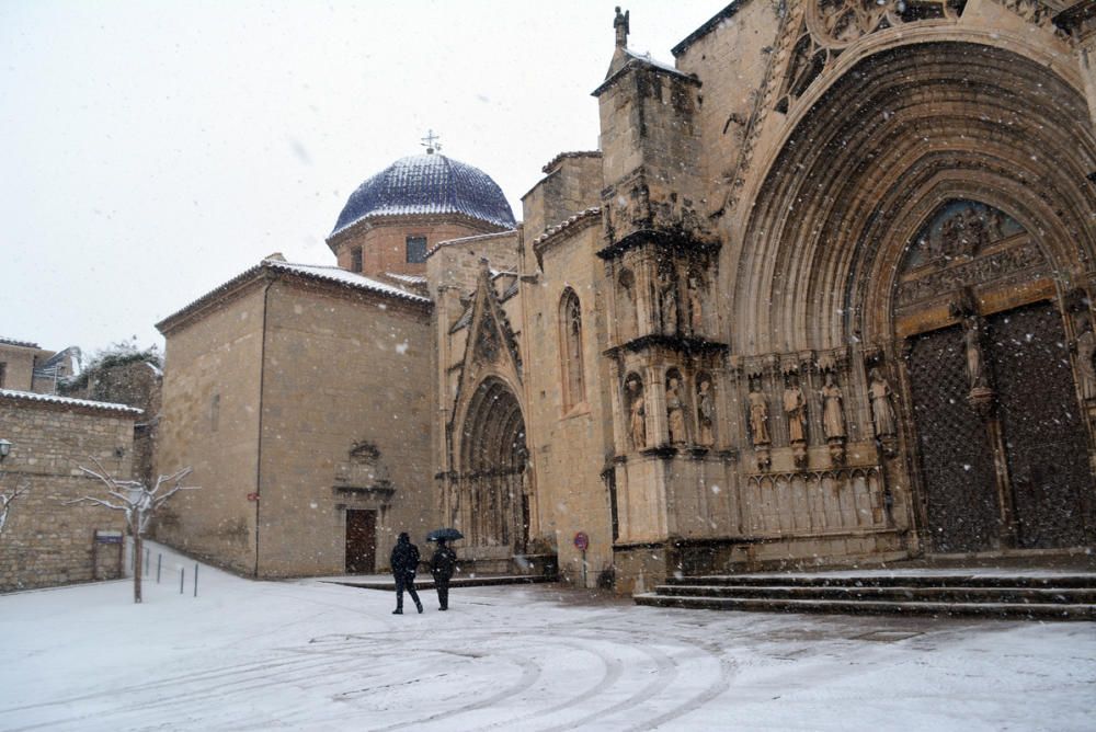 Morella