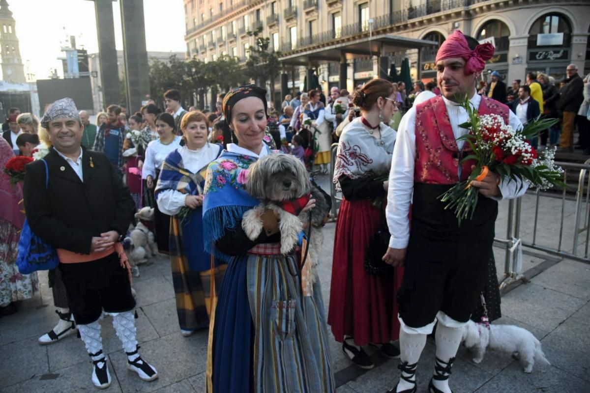 Galería de la Ofrenda a la Virgen