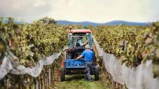 20 millones más para los préstamos agrarios contra el cambio climático