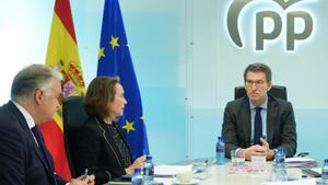 Feijóo ampliarà la direcció del PP i reforçarà les representacions per a l’any electoral