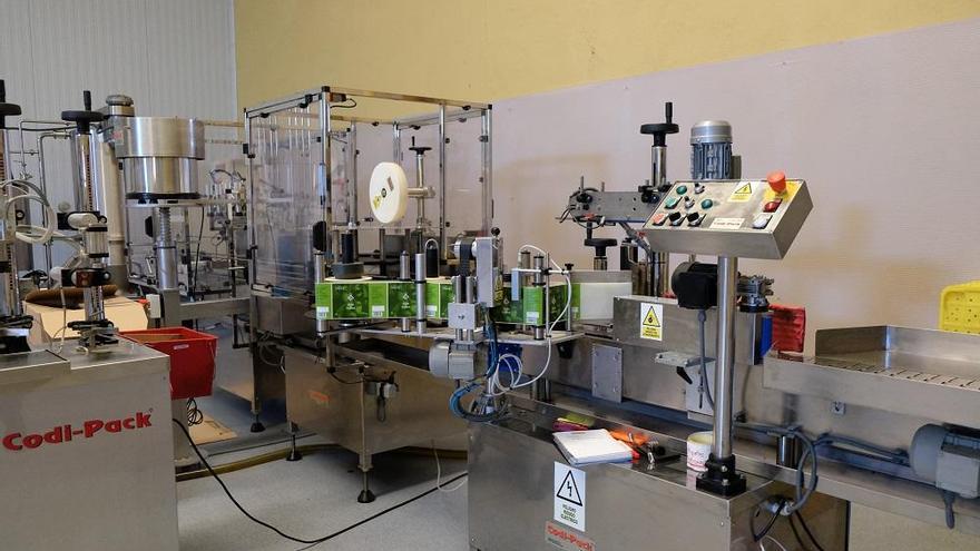 Bruselas acuerda que el sector del aceite de oliva disponga de herramientas de gestión de la oferta