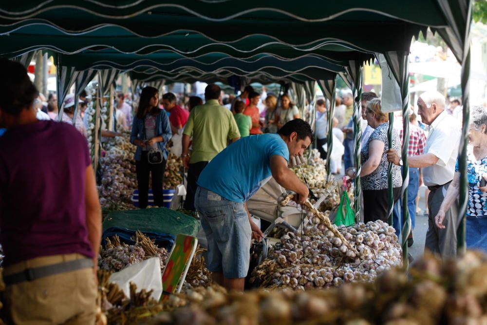 San Pedro 2016: Feria del Ajo